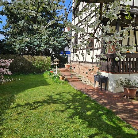 Apartments Am Saalebogen Mit Gartenterrasse, Grillkamin, Freie Parkplaetze Rudolstadt Eksteriør billede