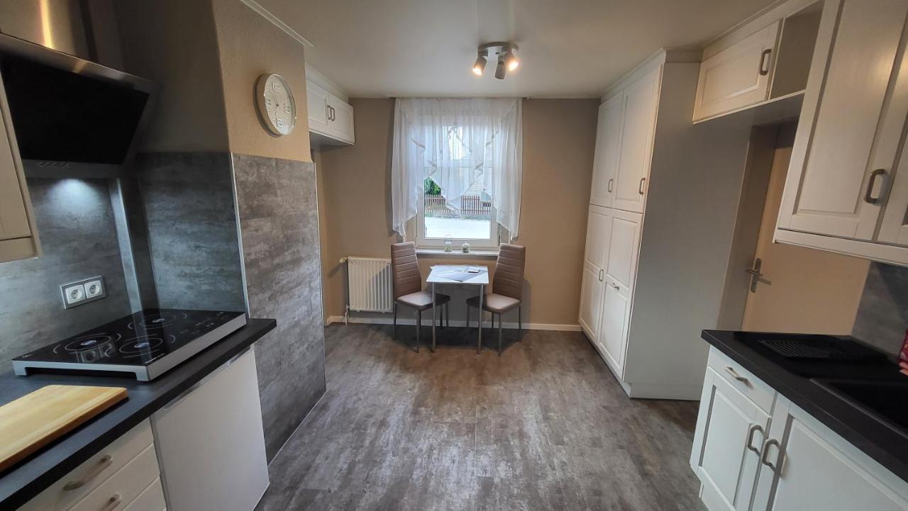 Apartments Am Saalebogen Mit Gartenterrasse, Grillkamin, Freie Parkplaetze Rudolstadt Eksteriør billede