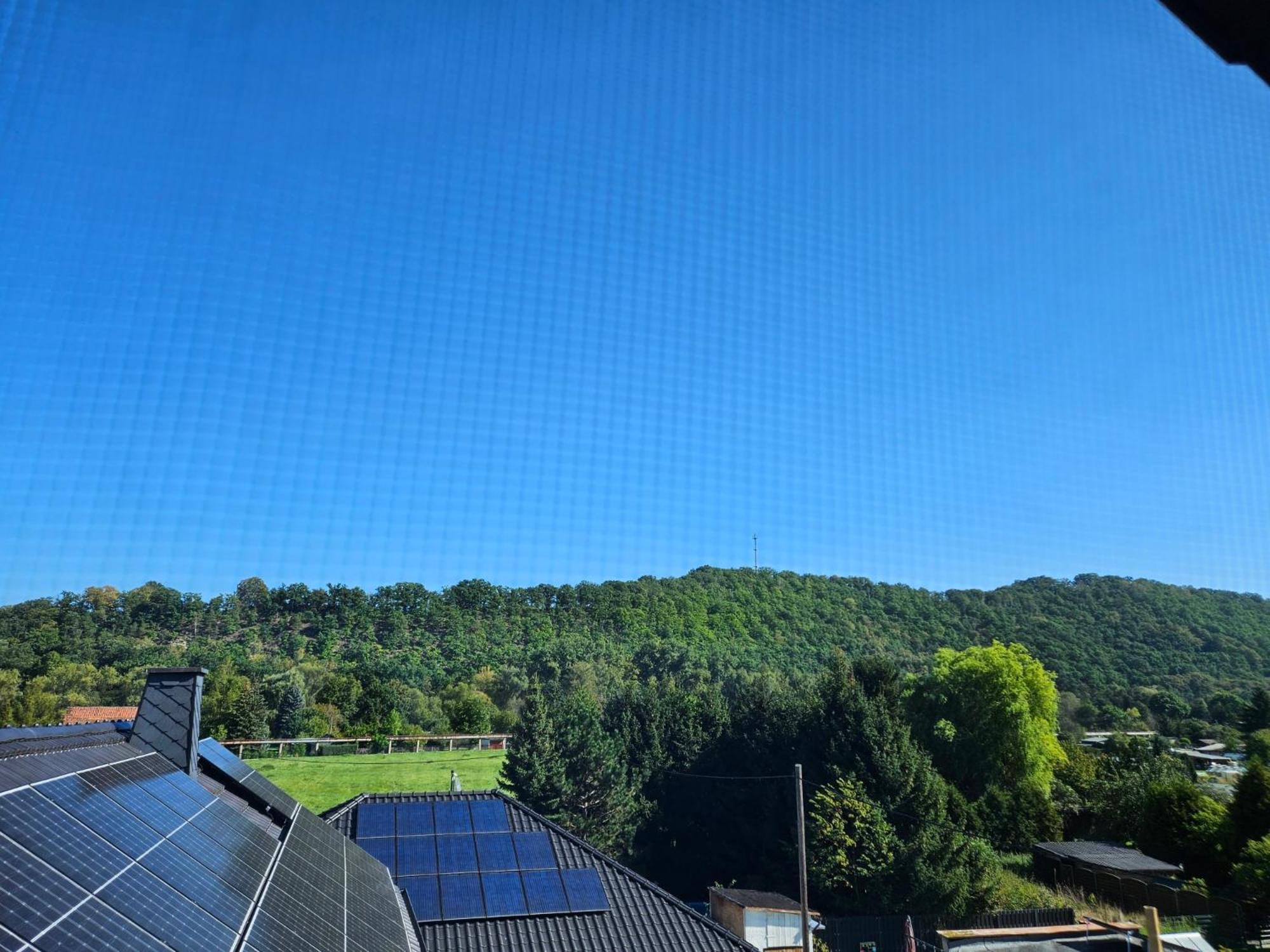 Apartments Am Saalebogen Mit Gartenterrasse, Grillkamin, Freie Parkplaetze Rudolstadt Eksteriør billede