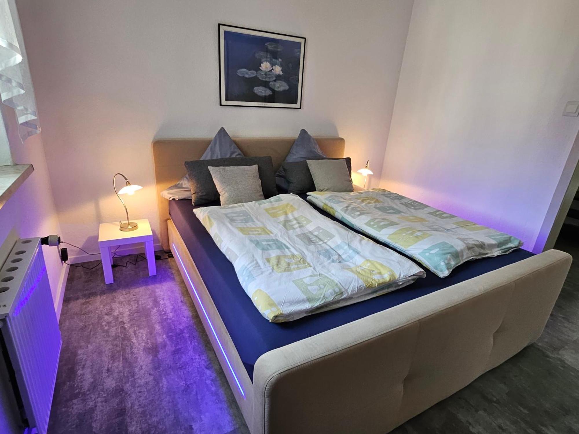 Apartments Am Saalebogen Mit Gartenterrasse, Grillkamin, Freie Parkplaetze Rudolstadt Eksteriør billede