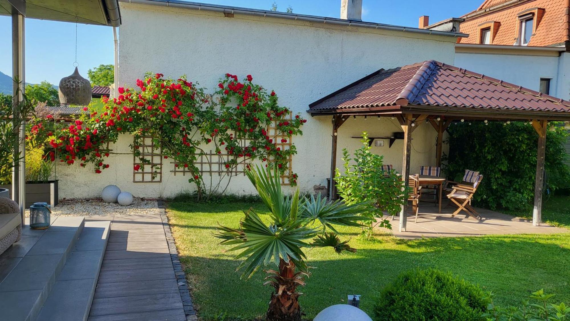 Apartments Am Saalebogen Mit Gartenterrasse, Grillkamin, Freie Parkplaetze Rudolstadt Eksteriør billede